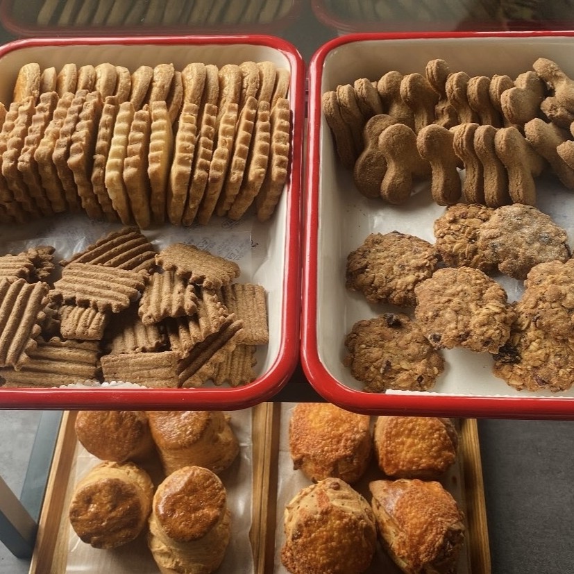 タベルネ 焼き菓子の販売